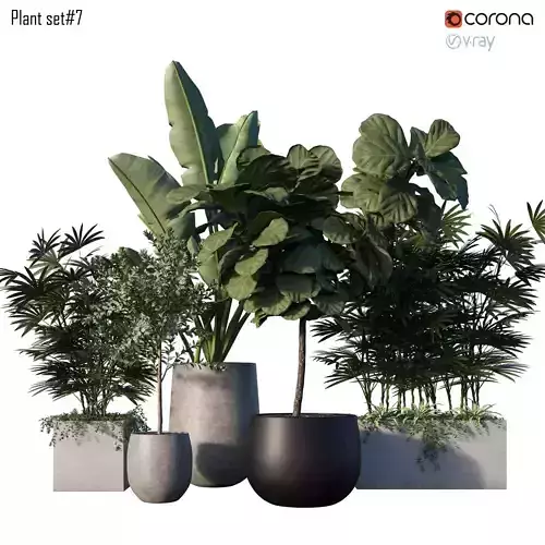 Plant set 07