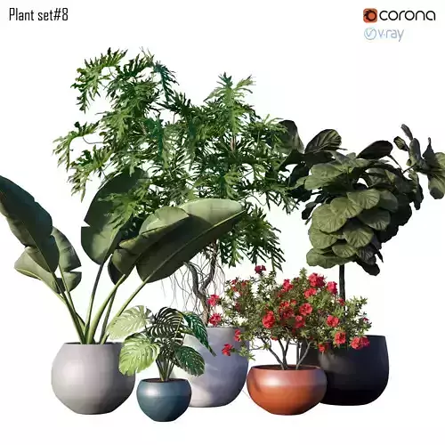 Plant set 08