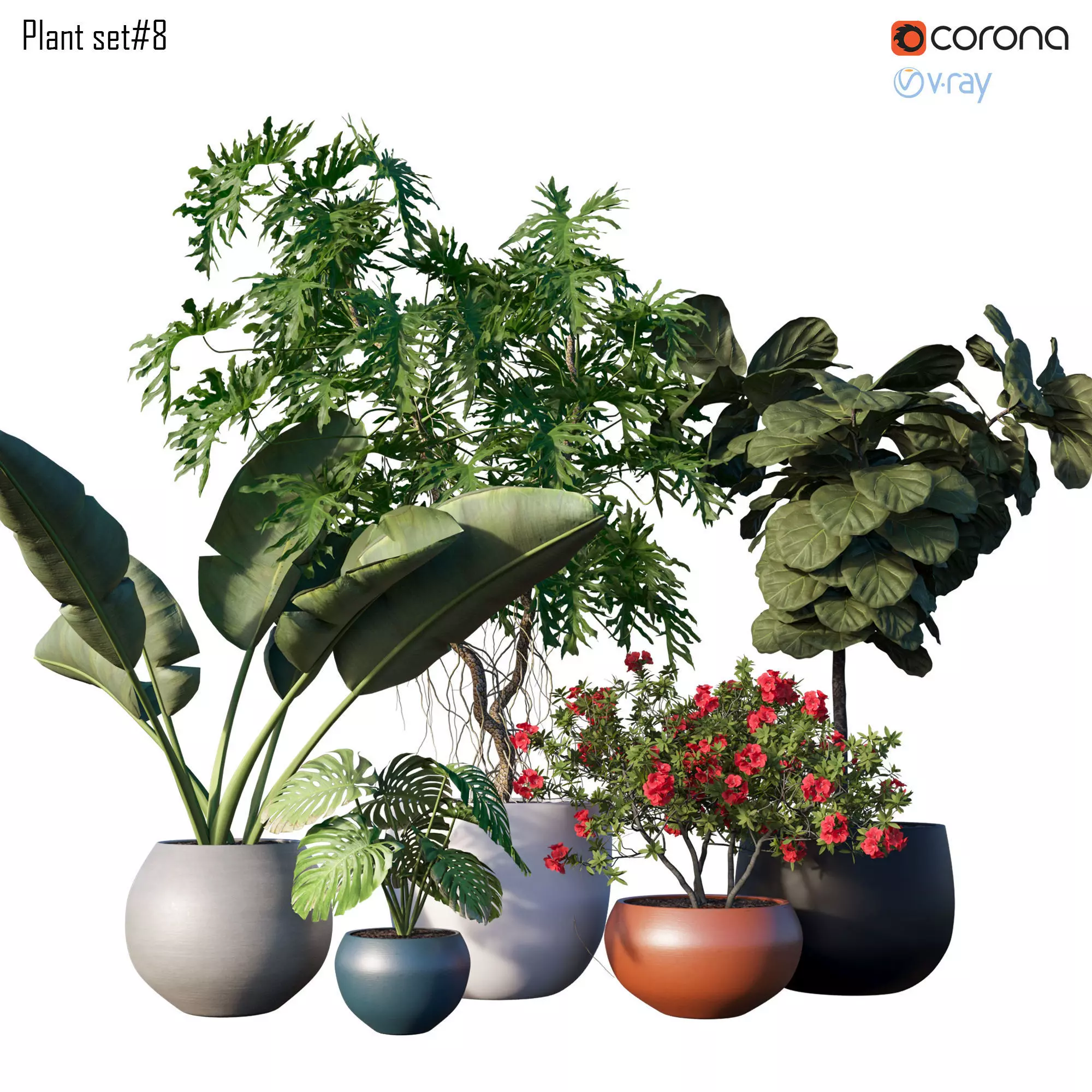 Plant set 08 3D model