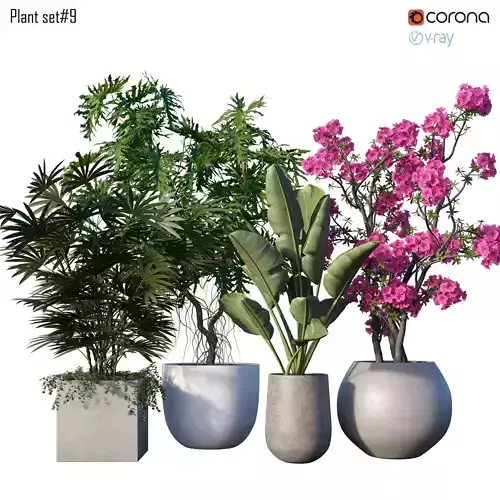 Plant set 09