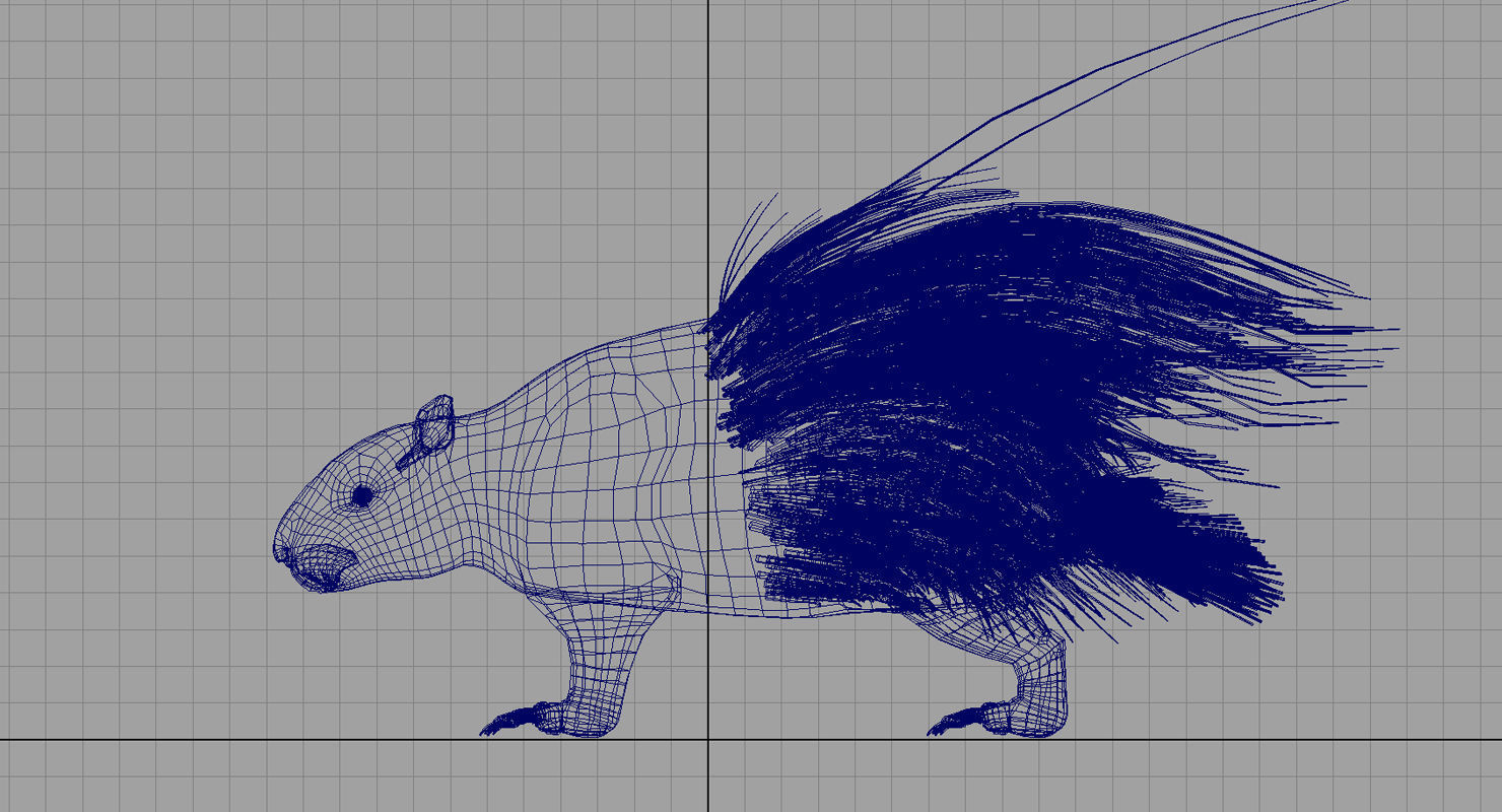 porcupine 3d model 3D model_5