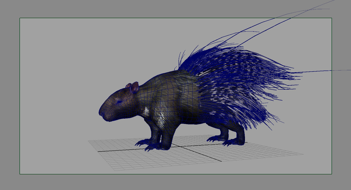porcupine 3d model 3D model_3