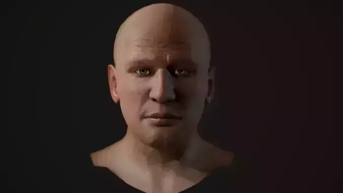 Male head rigged Low-poly 3D model