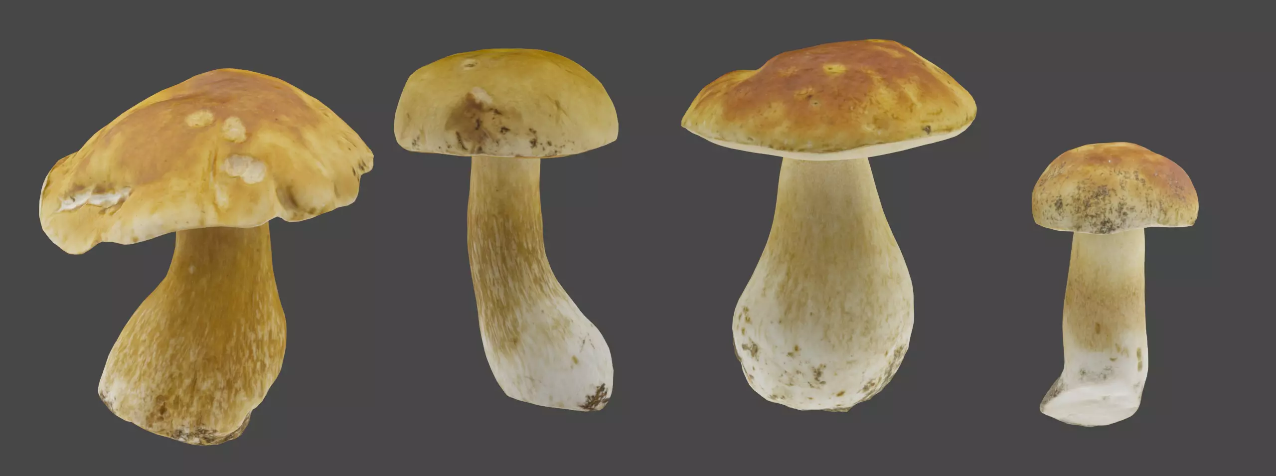 Bolete Mushroom Pack 1 Low-poly 3D model_0