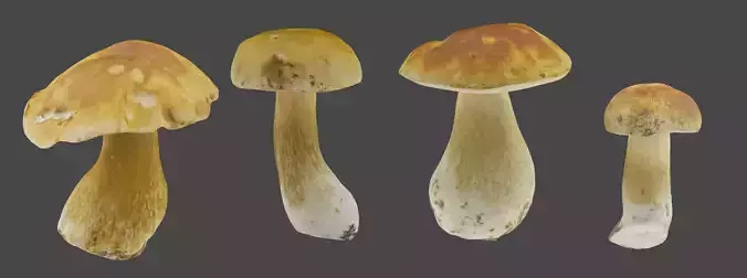 Bolete Mushroom Pack 1 Low-poly 3D model