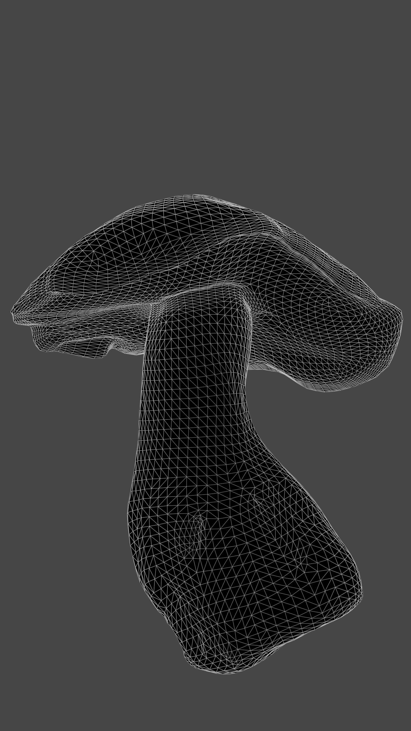 Bolete Mushroom Pack 1 Low-poly 3D model_3