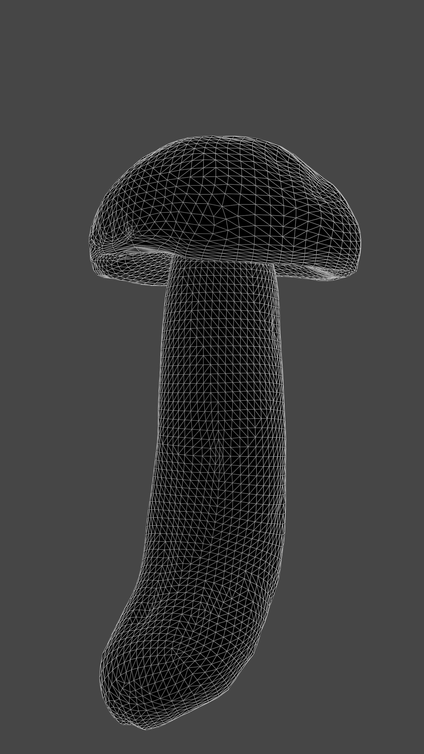 Bolete Mushroom Pack 1 Low-poly 3D model_7