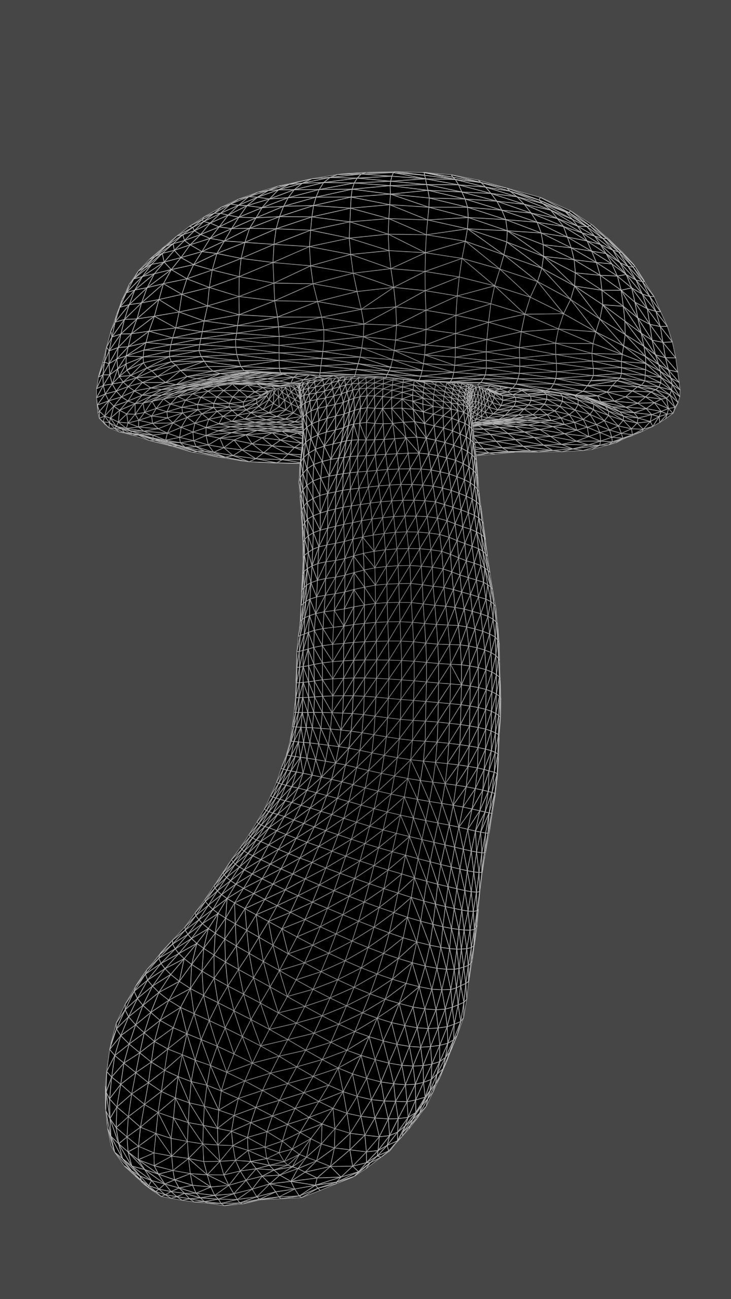 Bolete Mushroom Pack 1 Low-poly 3D model_9