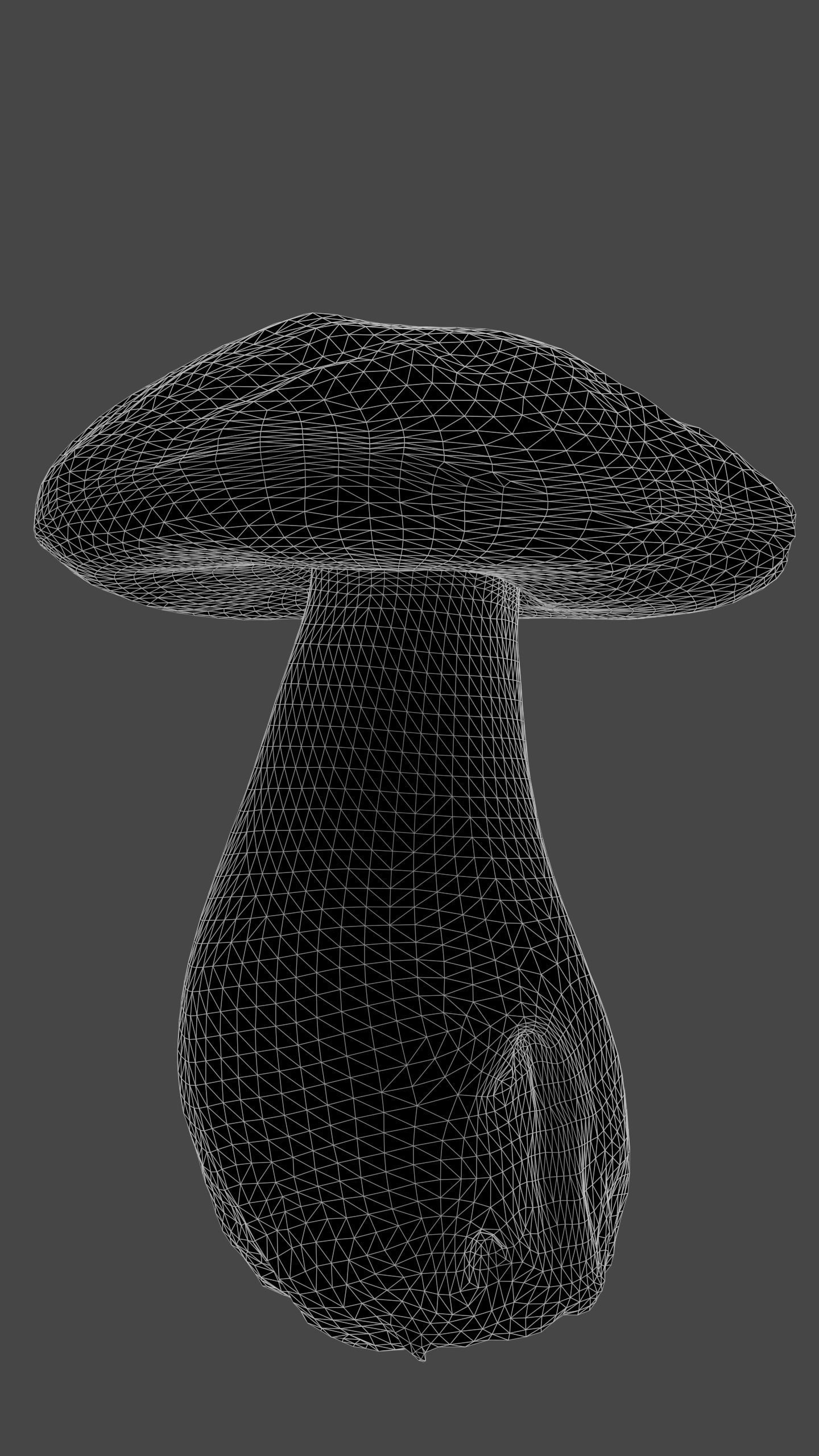 Bolete Mushroom Pack 1 Low-poly 3D model_5