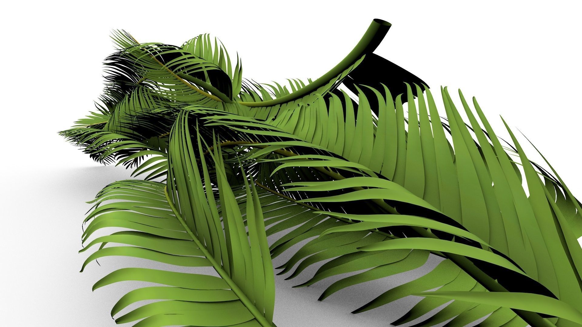 Palm Leaves 3D model_1
