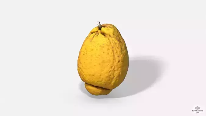 Fruit Citron - Photoscanned PBR