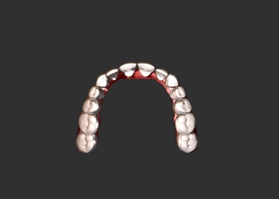 Teeth human Low-poly 3D model_3