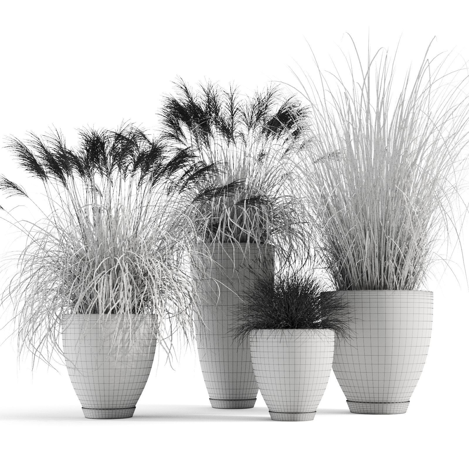 Decorative Cereals in Planters 3D model_1