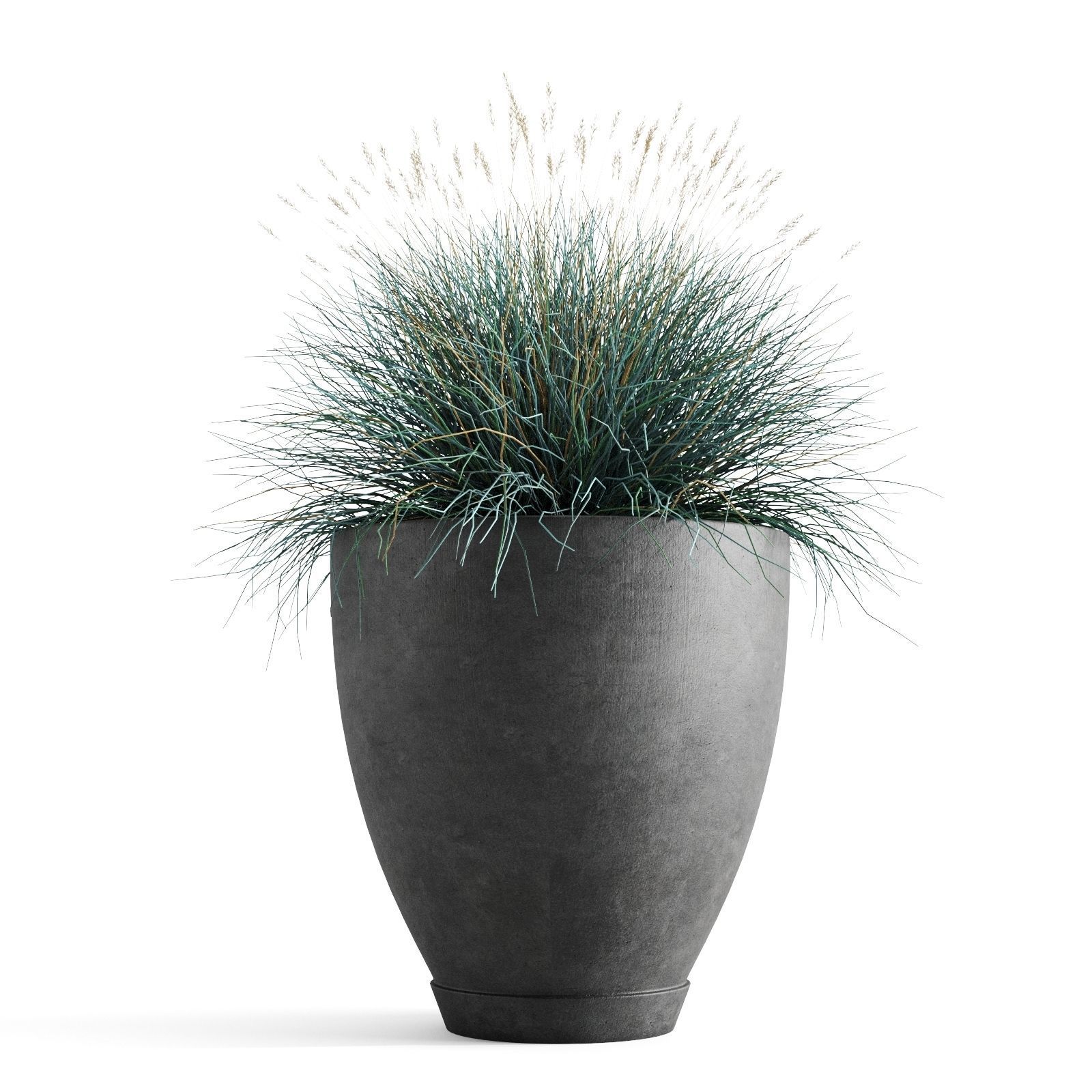 Decorative Cereals in Planters 3D model_6