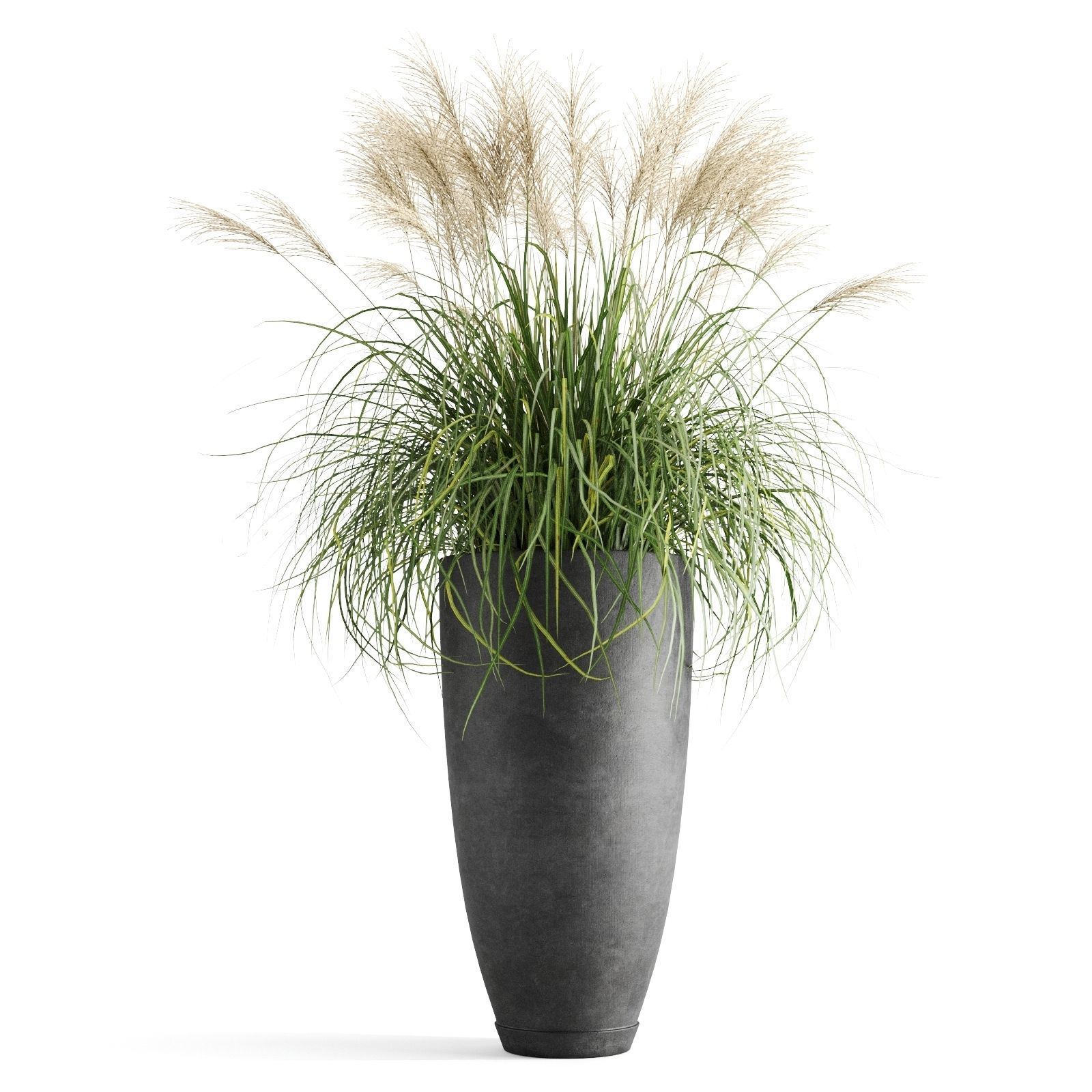 Decorative Cereals in Planters 3D model_5