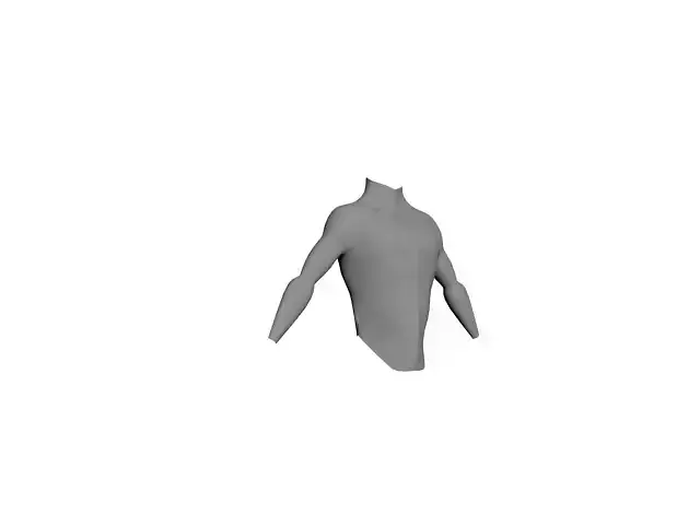 torso with proper topology