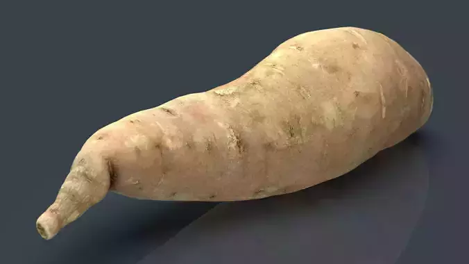BATATA sweet potato Low-poly 3D model