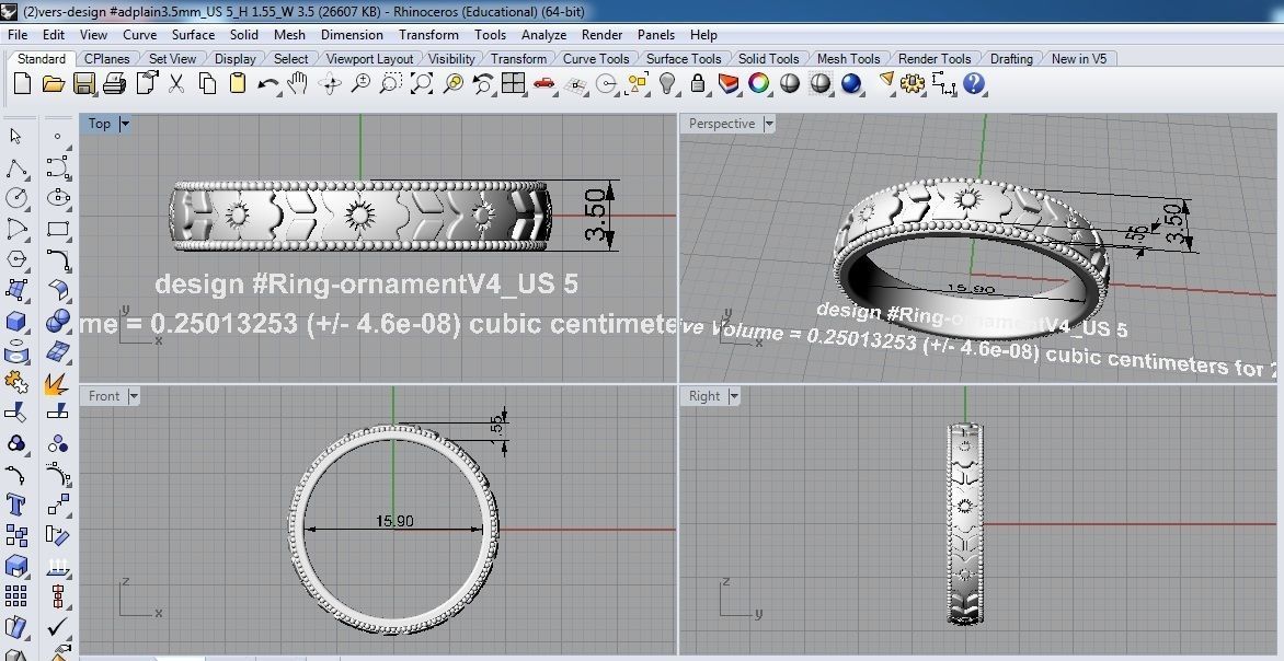 Ring Ornament v4 3D print model_1