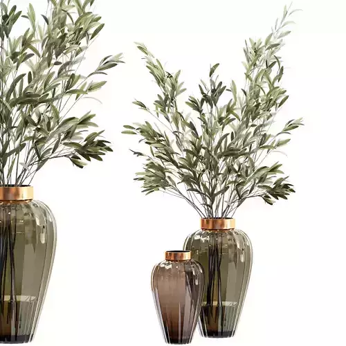 Olive stems in a zara glass vase with water