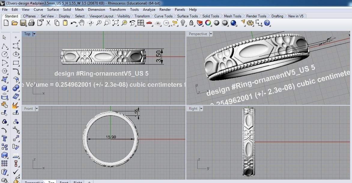 Ring Ornament V5 3D print model_2