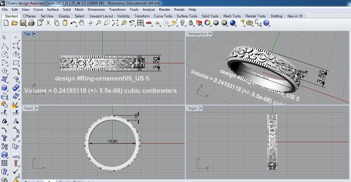 Ring Ornament V6 3D print model_6