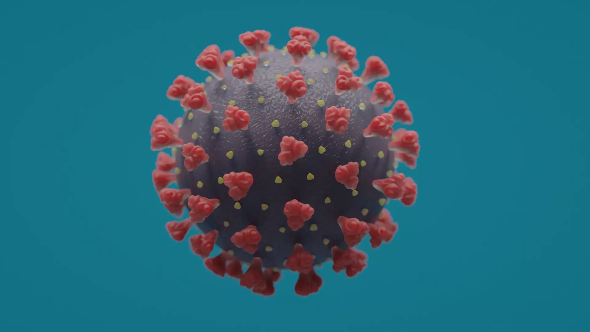 COVID coronavirus 3D model