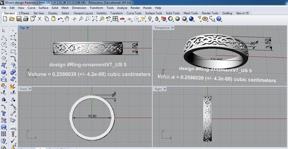 Ring Ornament V7 3D print model_5