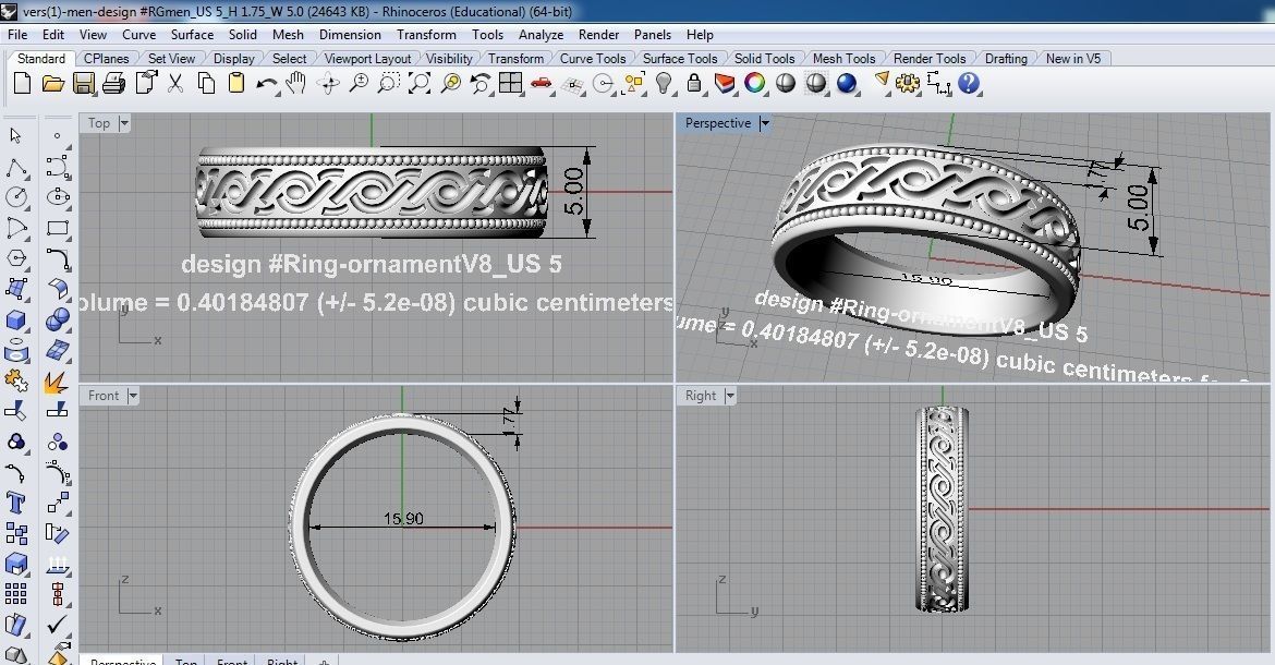 Ring Ornament V8 3D print model_5