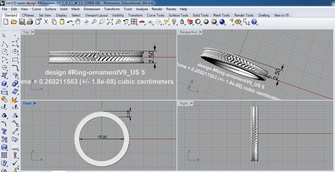 Ring Ornament V9 3D print model_4