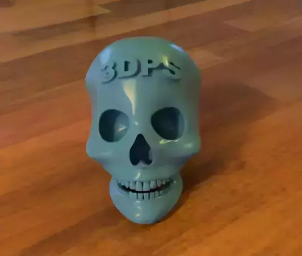 Logotip on Human Skull 3D print model