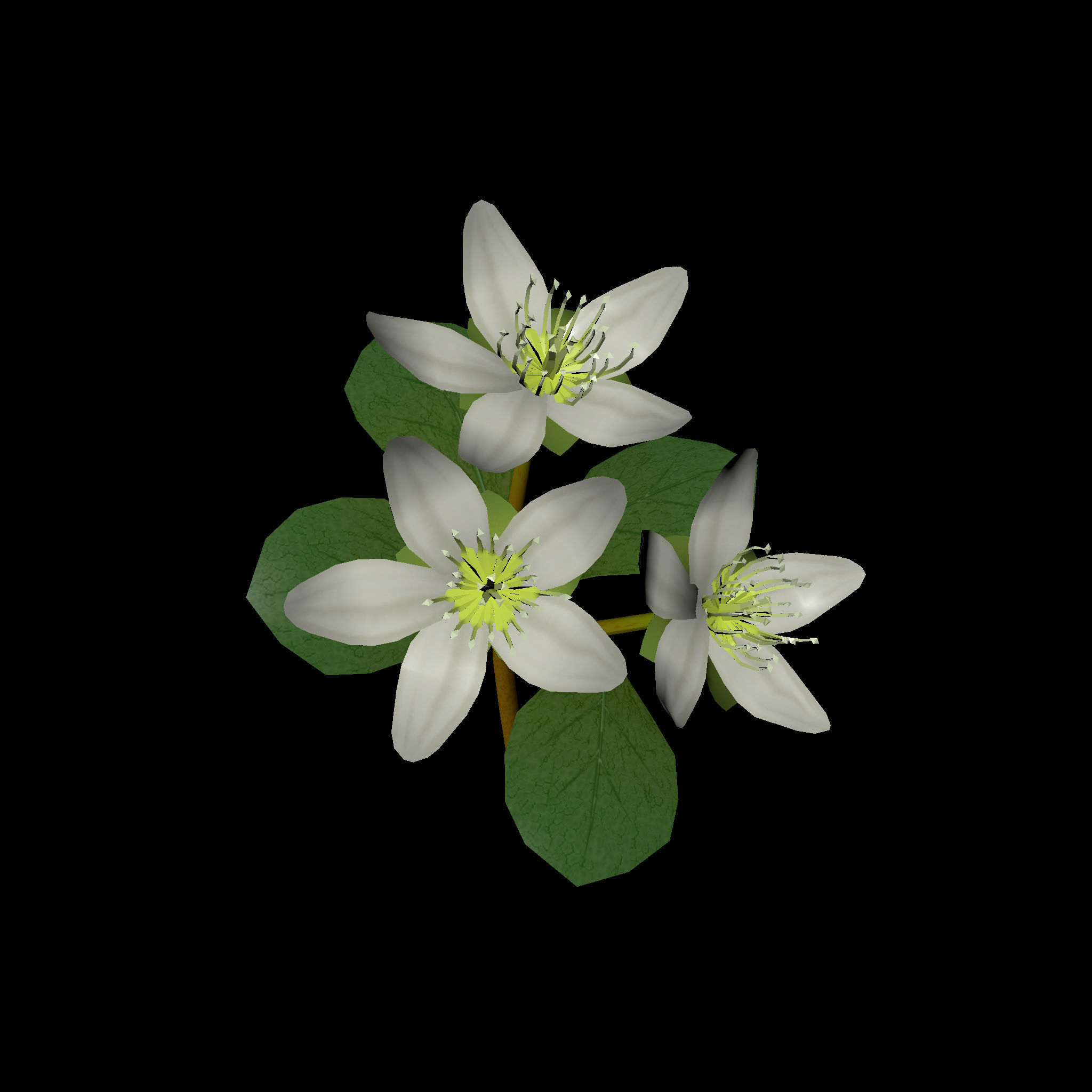 Flower three flowers Low-poly 3D model_3