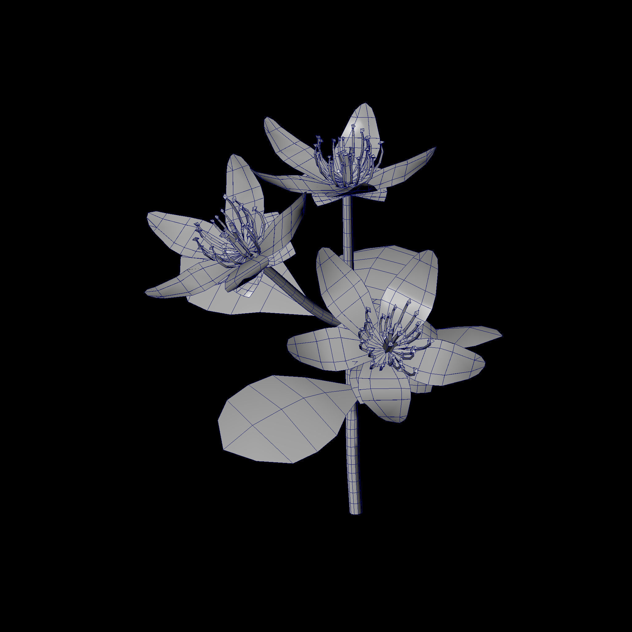 Flower three flowers Low-poly 3D model_2