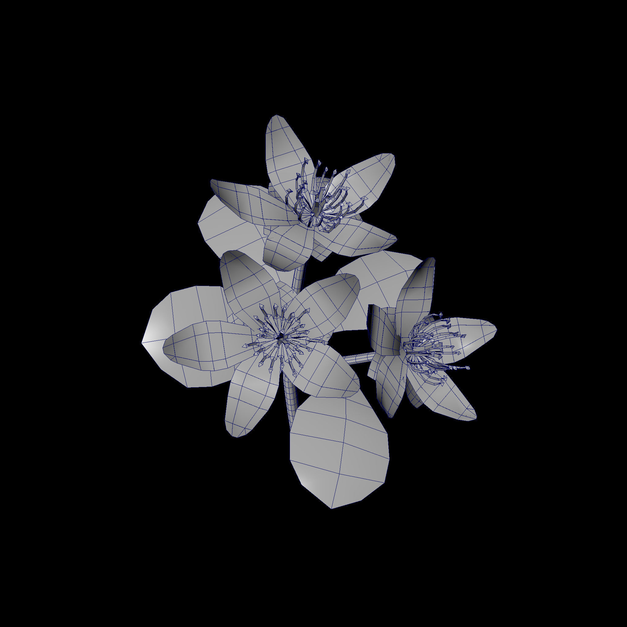 Flower three flowers Low-poly 3D model_5