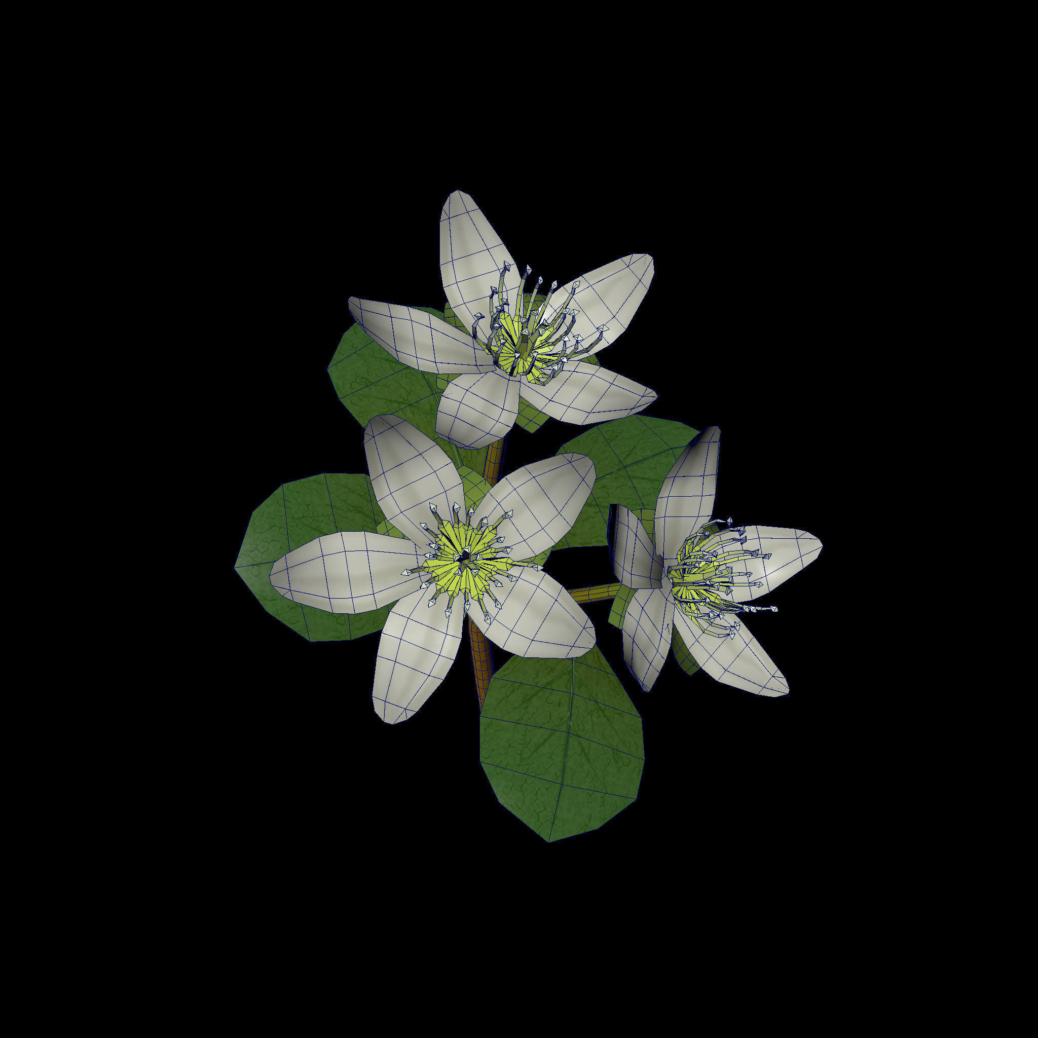 Flower three flowers Low-poly 3D model_4
