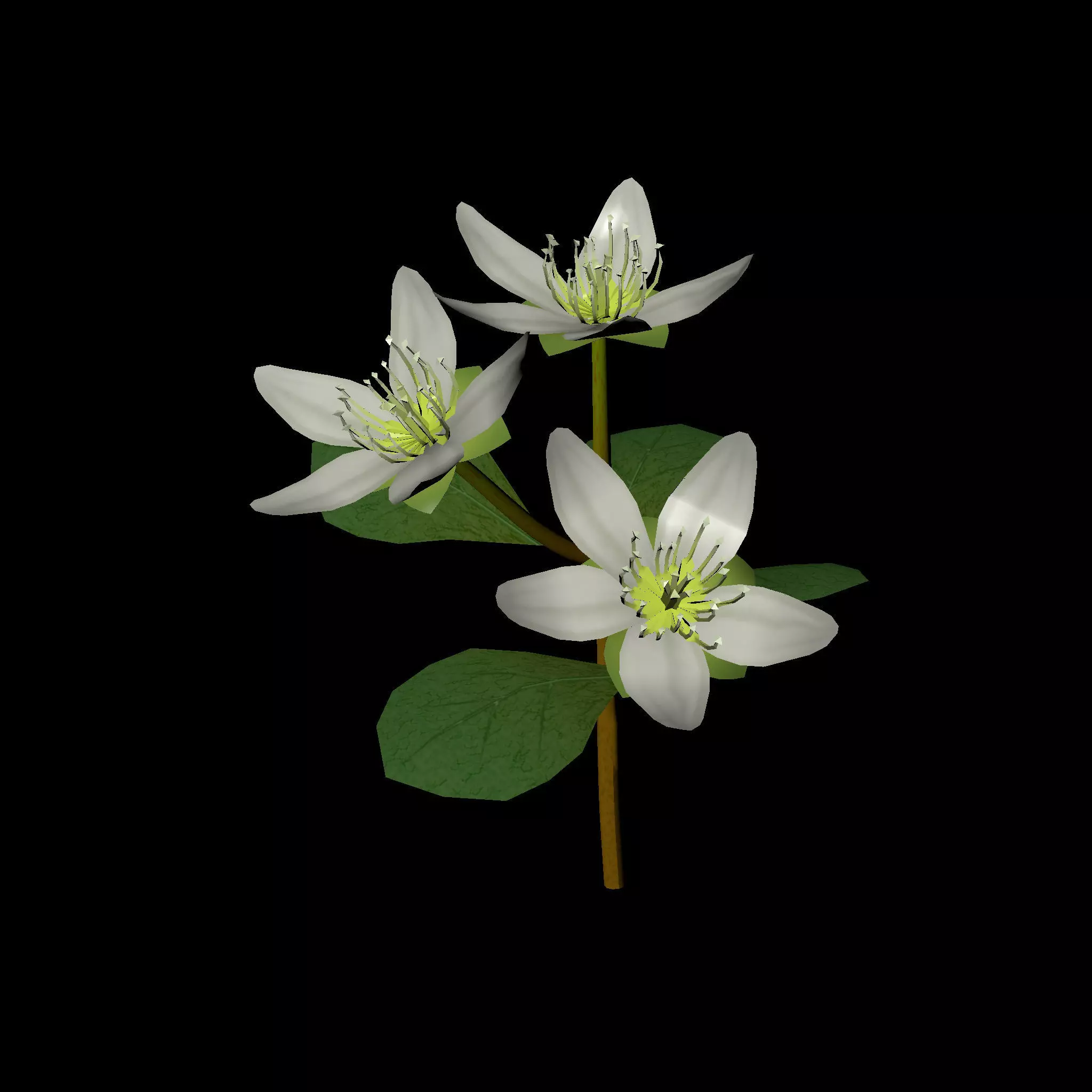 Flower three flowers Low-poly 3D model_0