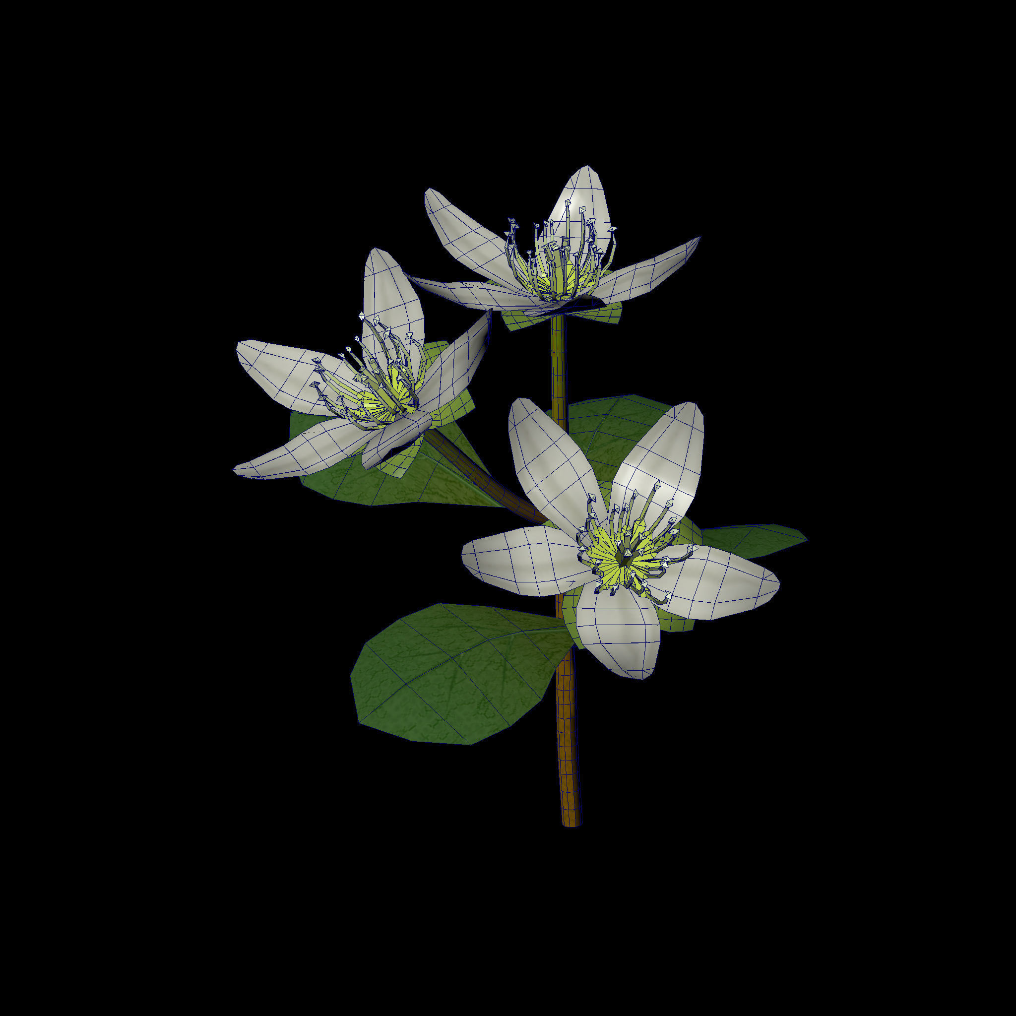 Flower three flowers Low-poly 3D model_1