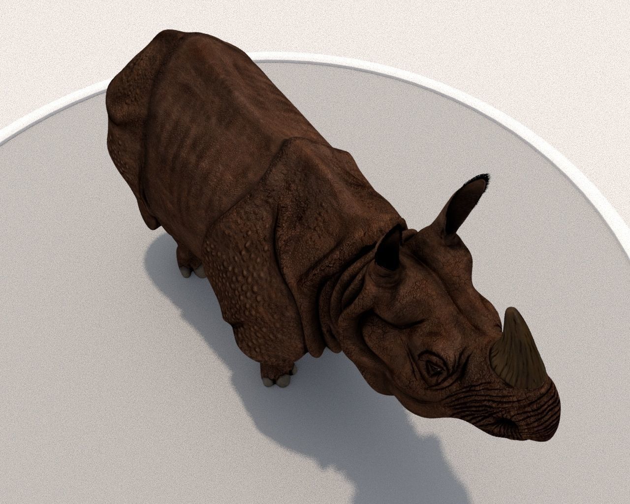 Rhinoceros Low-poly 3D model_10