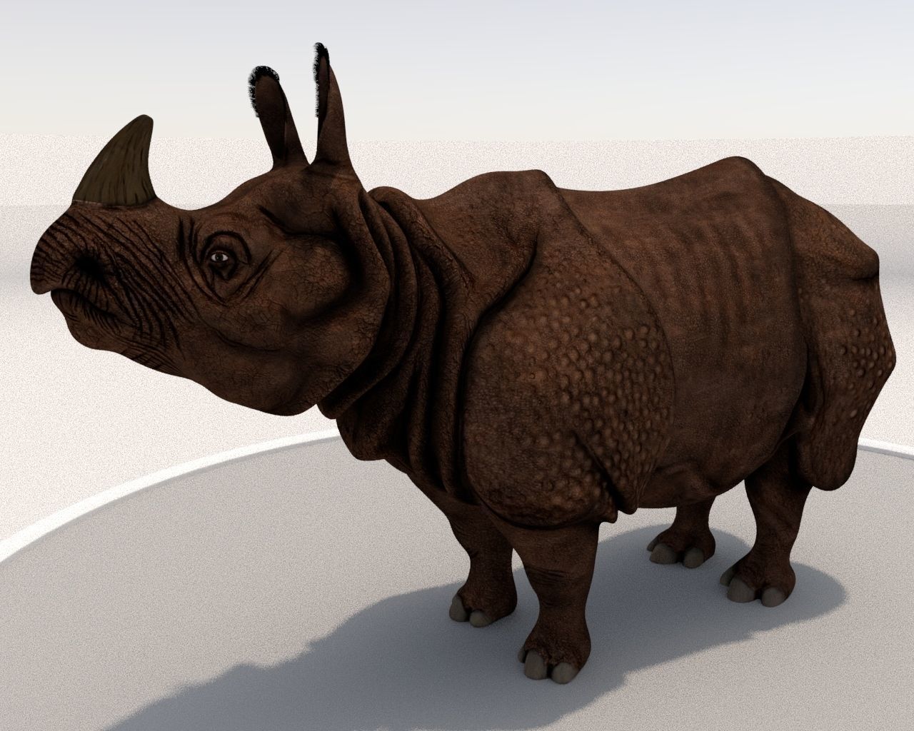 Rhinoceros Low-poly 3D model_3