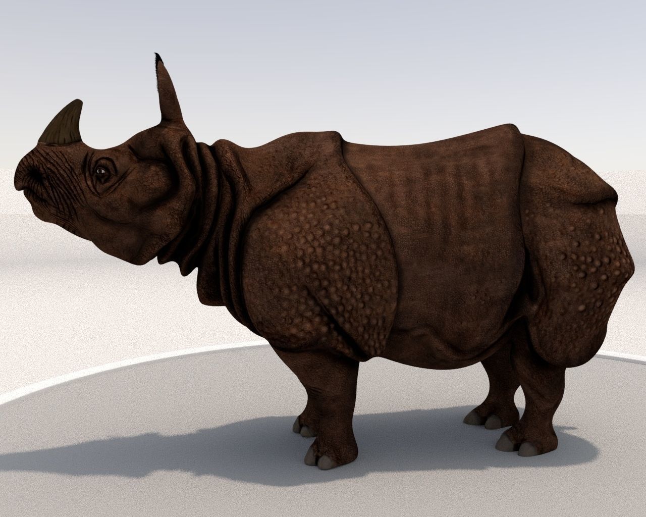 Rhinoceros Low-poly 3D model_4