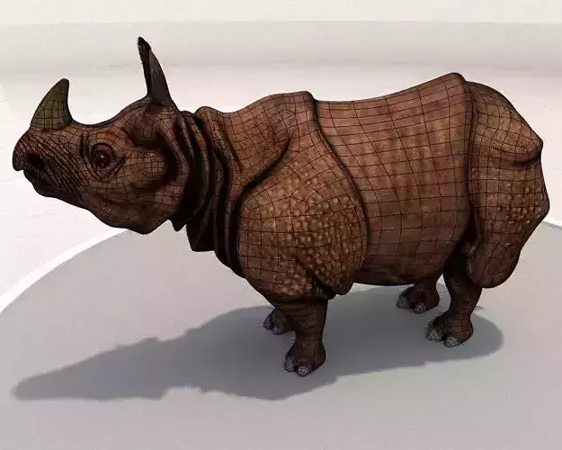 Rhinoceros