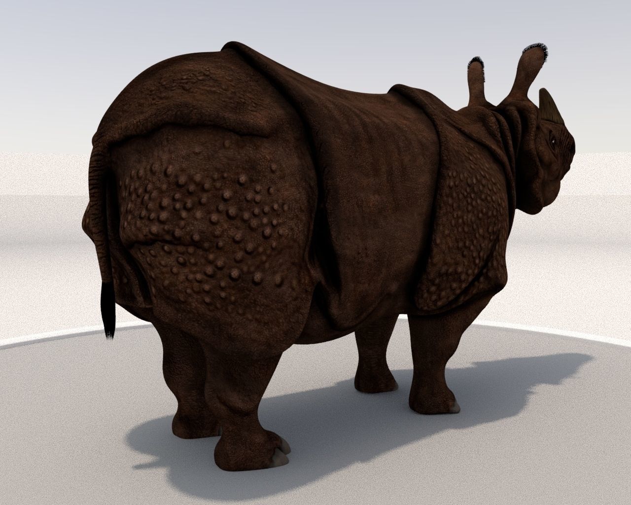 Rhinoceros Low-poly 3D model_6