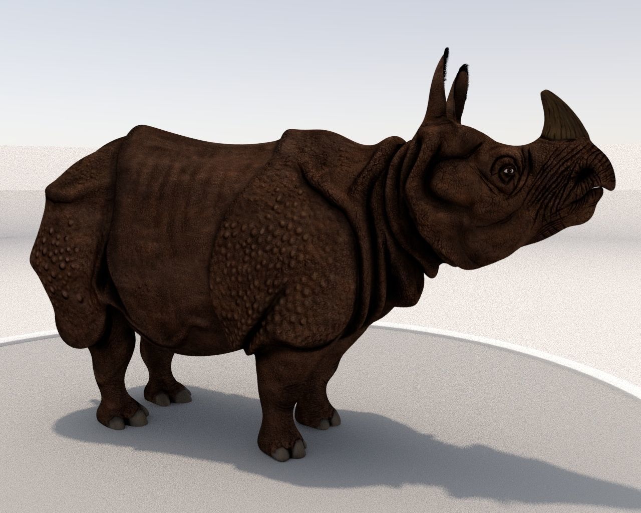 Rhinoceros Low-poly 3D model_8