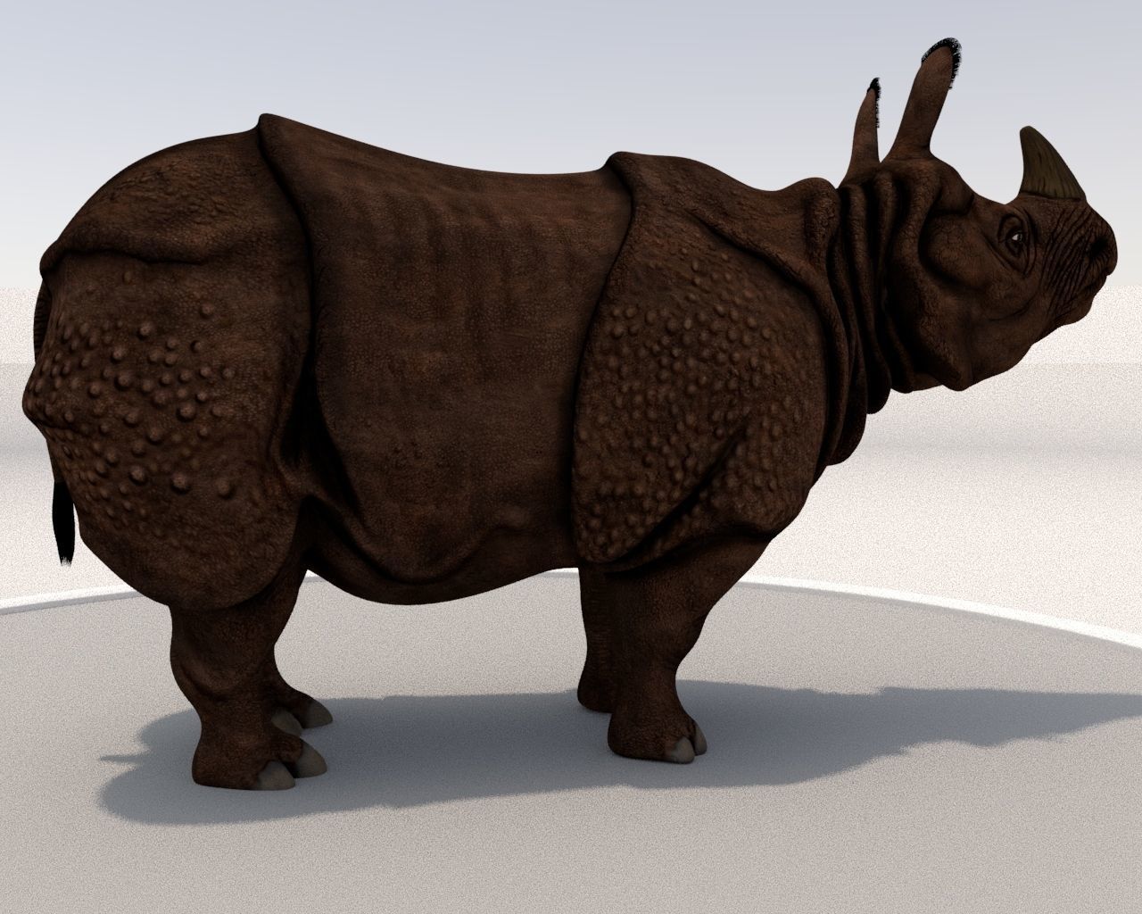 Rhinoceros Low-poly 3D model_7