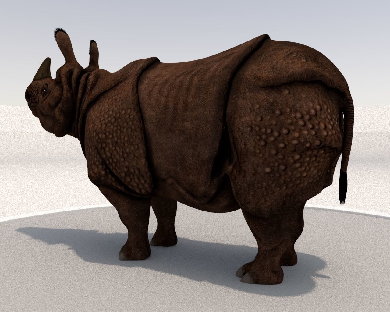 Rhinoceros Low-poly 3D model_5