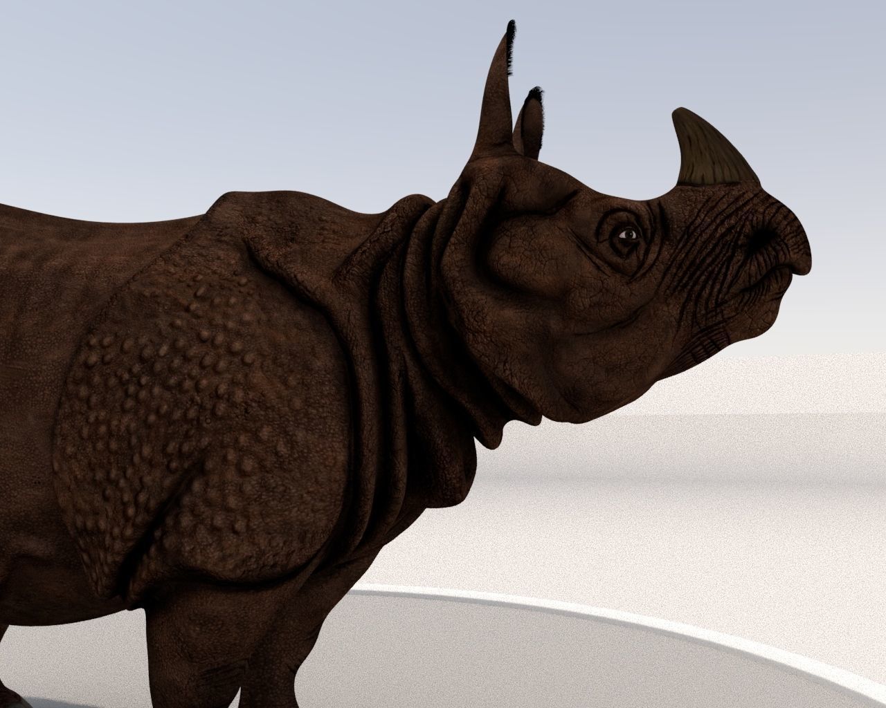 Rhinoceros Low-poly 3D model_9