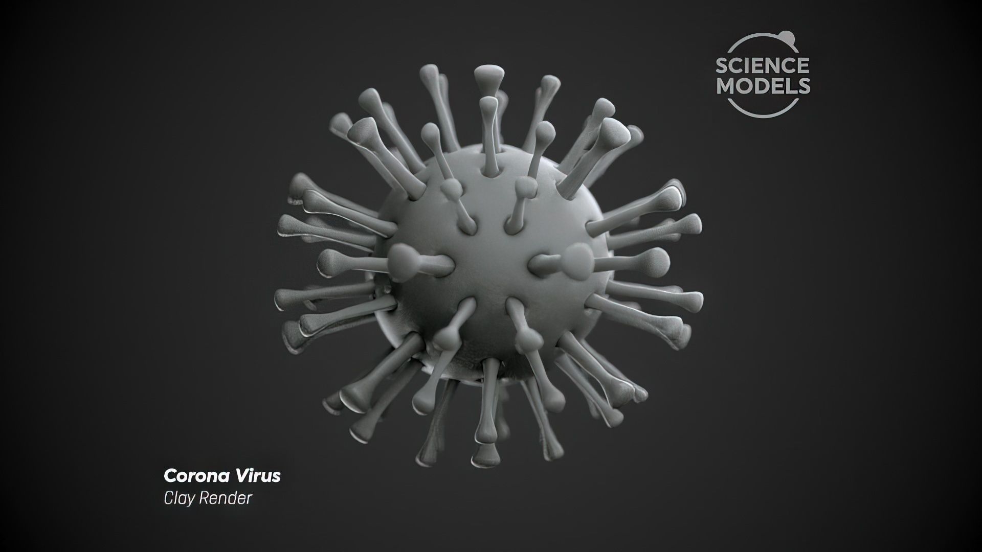 Corona Virus 3D model_4