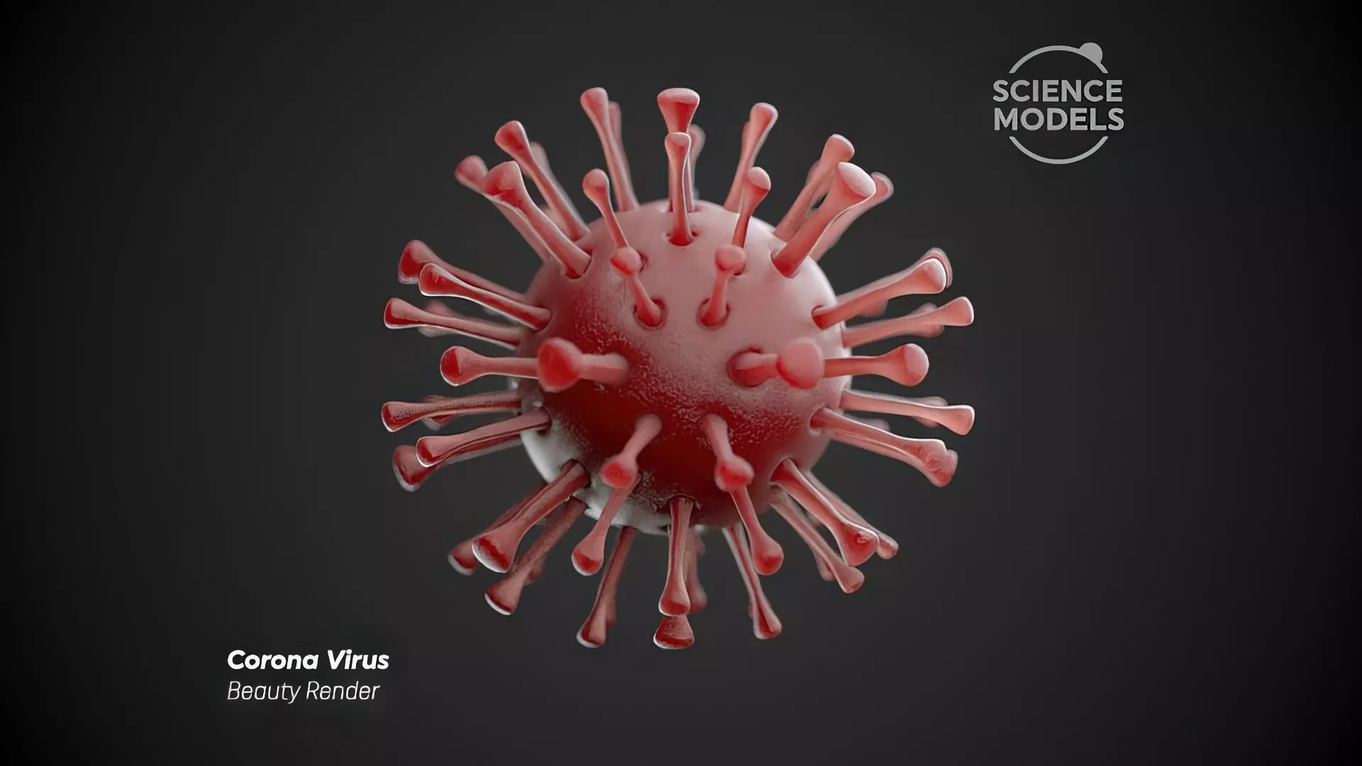 Corona Virus 3D model_0