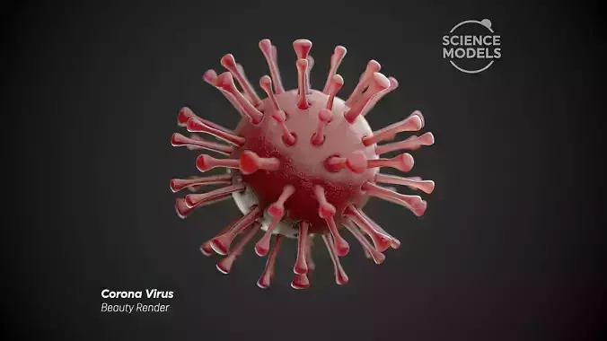 Corona Virus 3D model
