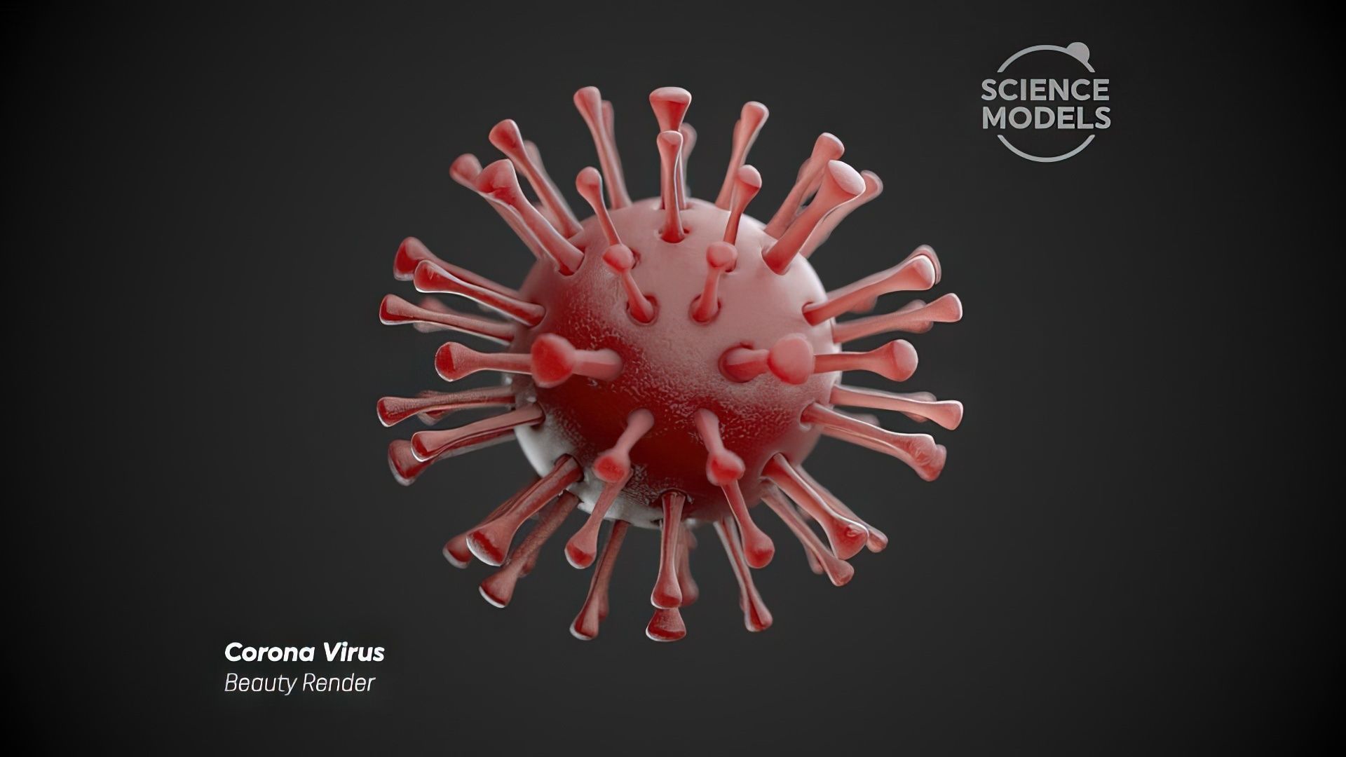 Corona Virus 3D model_3
