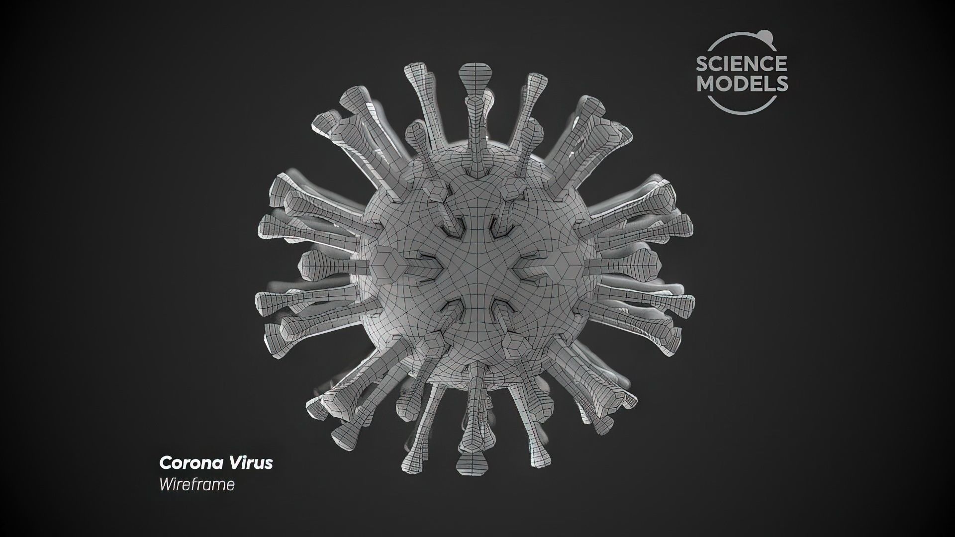 Corona Virus 3D model_5